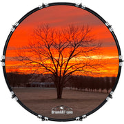 DrumHead