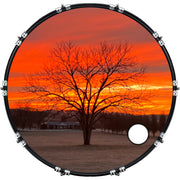DrumHead