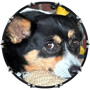 DrumHead