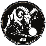 DrumHead
