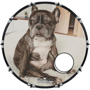 DrumHead