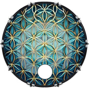 DrumHead