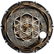 DrumHead