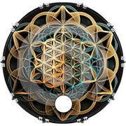 DrumHead