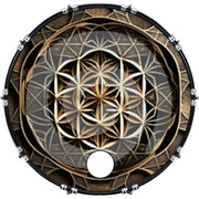 DrumHead