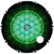 DrumHead