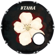 DrumHead