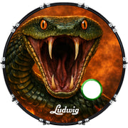 DrumHead