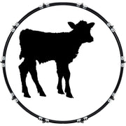 DrumHead