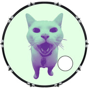 DrumHead