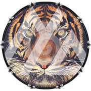 DrumHead
