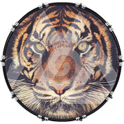 DrumHead