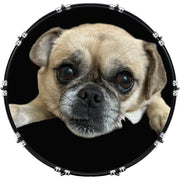 DrumHead