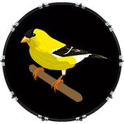DrumHead