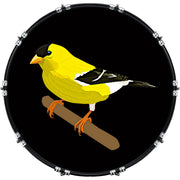 DrumHead