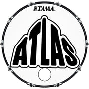DrumHead