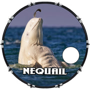 DrumHead