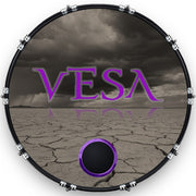 Custom Drumhead — 22