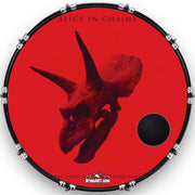 Custom Drumhead — 22