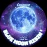 Custom Drumhead — 22