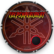 Custom Drumhead — 22