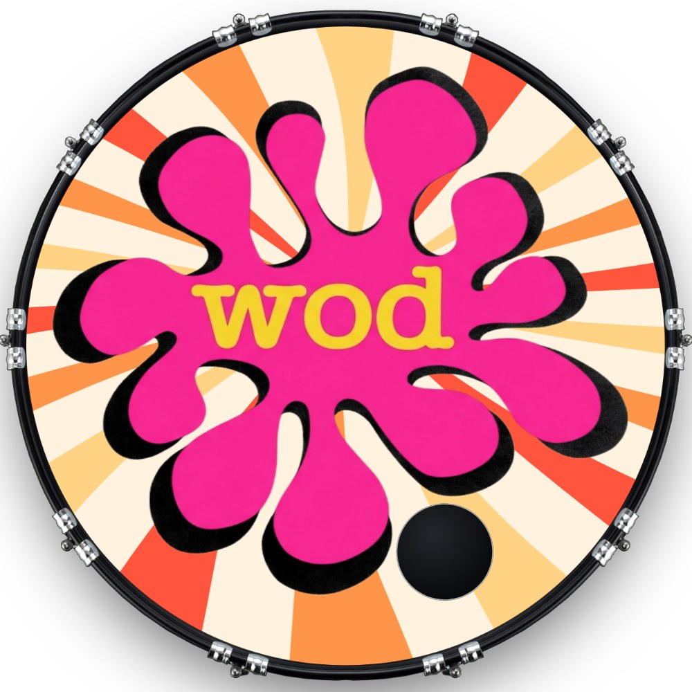 Custom Drumhead — 20" · 870D13