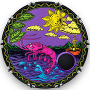 Custom Drumhead — 20