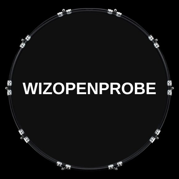 Custom Drumhead — 22" · 0CC85C
