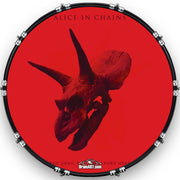 Custom Drumhead — 22