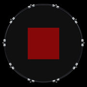 Custom Drumhead — 22