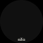 Custom Drumhead — 22