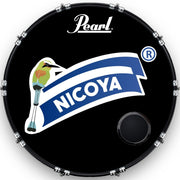 Custom Drumhead — 24
