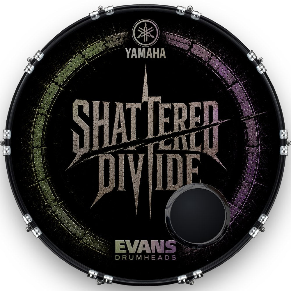 Custom Drumhead — 20" · DBE54A
