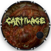 Custom Drumhead — 22
